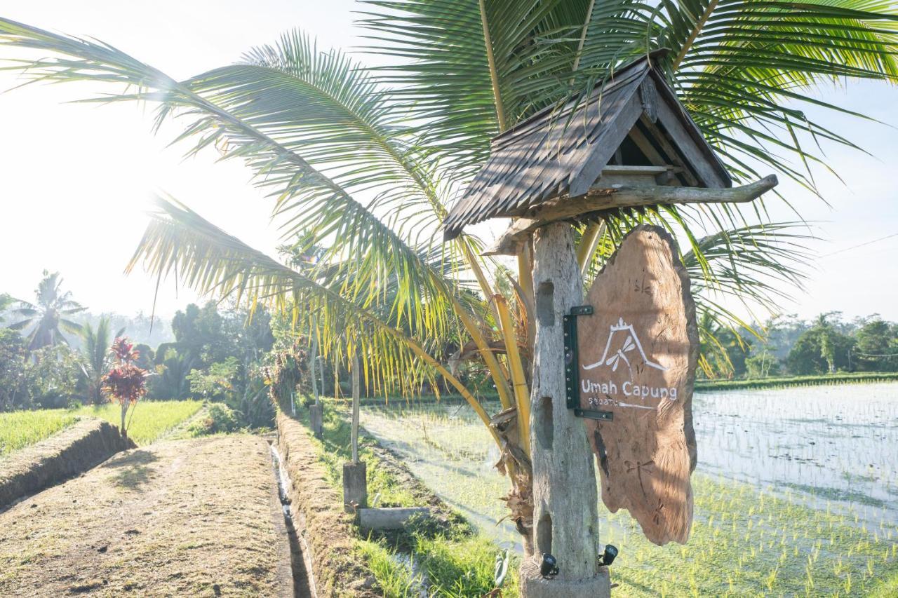 Umah Capung Sebatu Villas تيغالالانغْ المظهر الخارجي الصورة