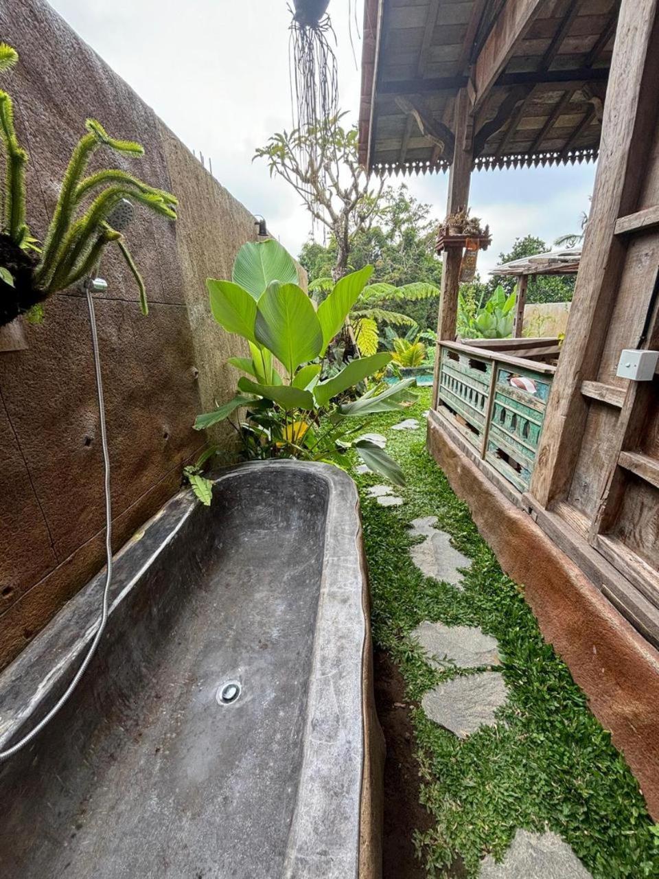 Umah Capung Sebatu Villas تيغالالانغْ المظهر الخارجي الصورة