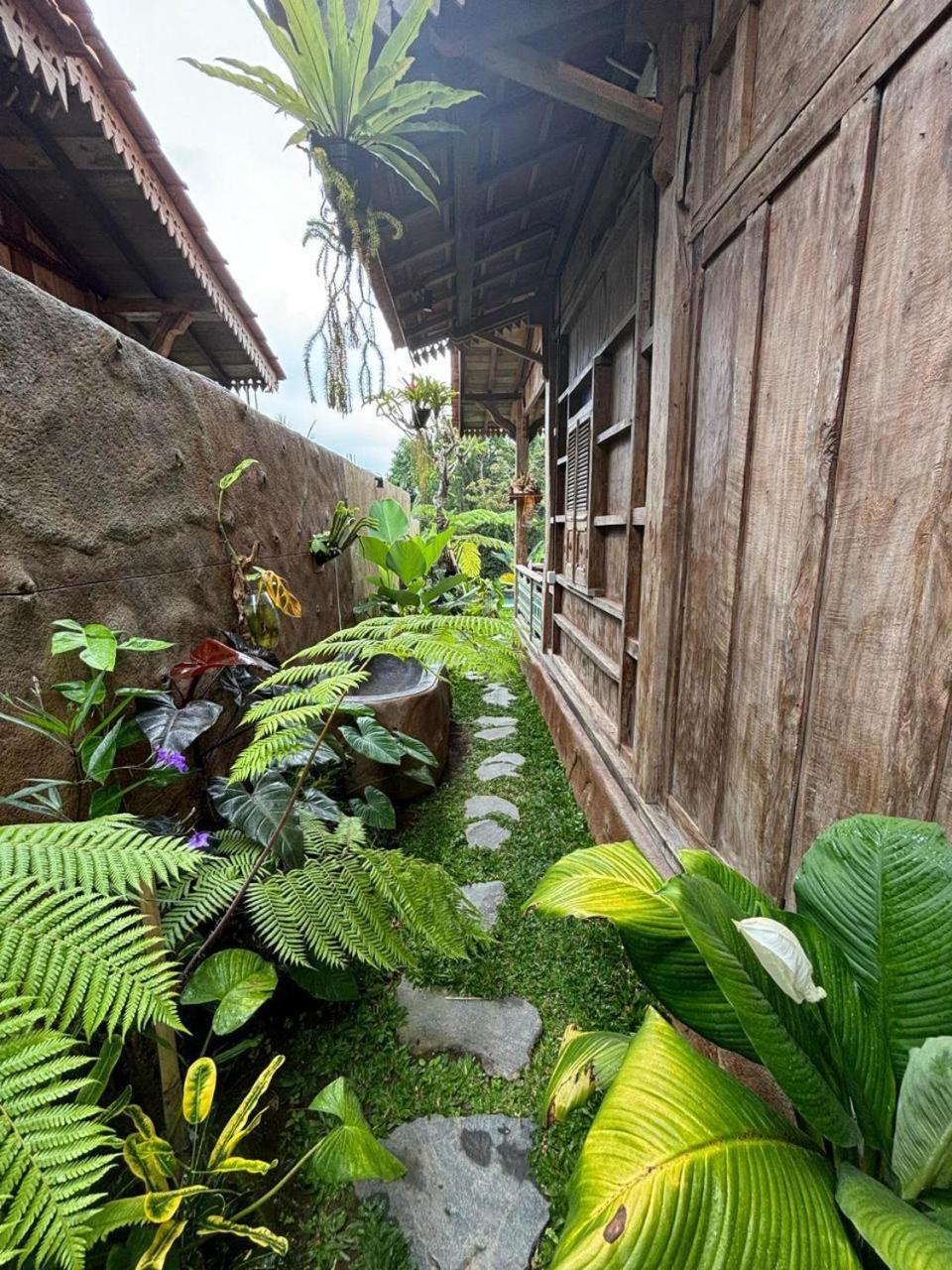 Umah Capung Sebatu Villas تيغالالانغْ المظهر الخارجي الصورة